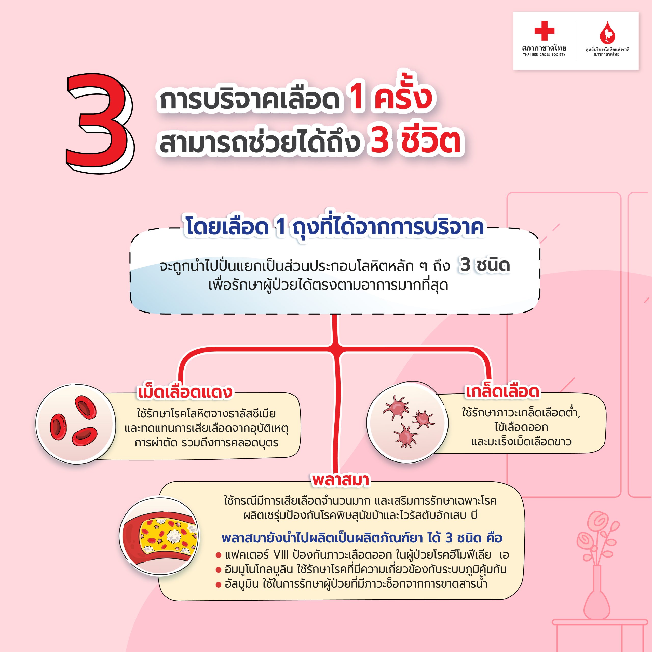 5 เรื่อง #การบริจาคเลือด ที่คุณอาจไม่เคยรู้ 1-5